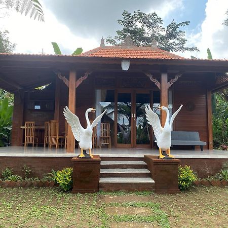Lembah Cinta Mayungan Baturiti Extérieur photo