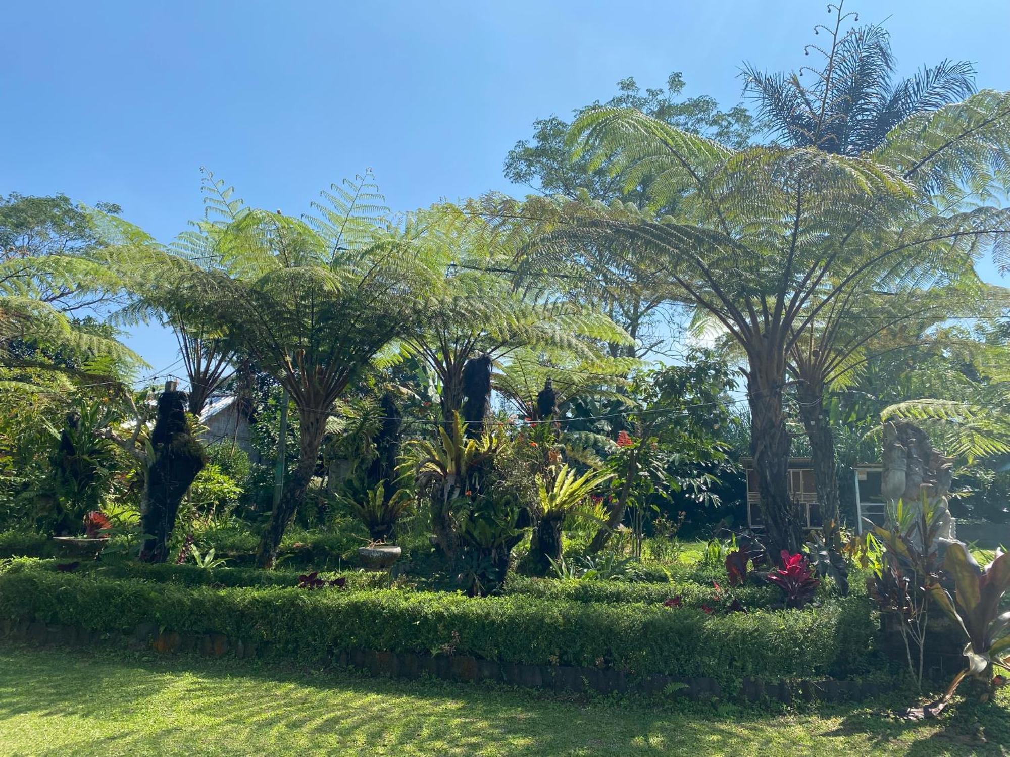 Lembah Cinta Mayungan Baturiti Extérieur photo
