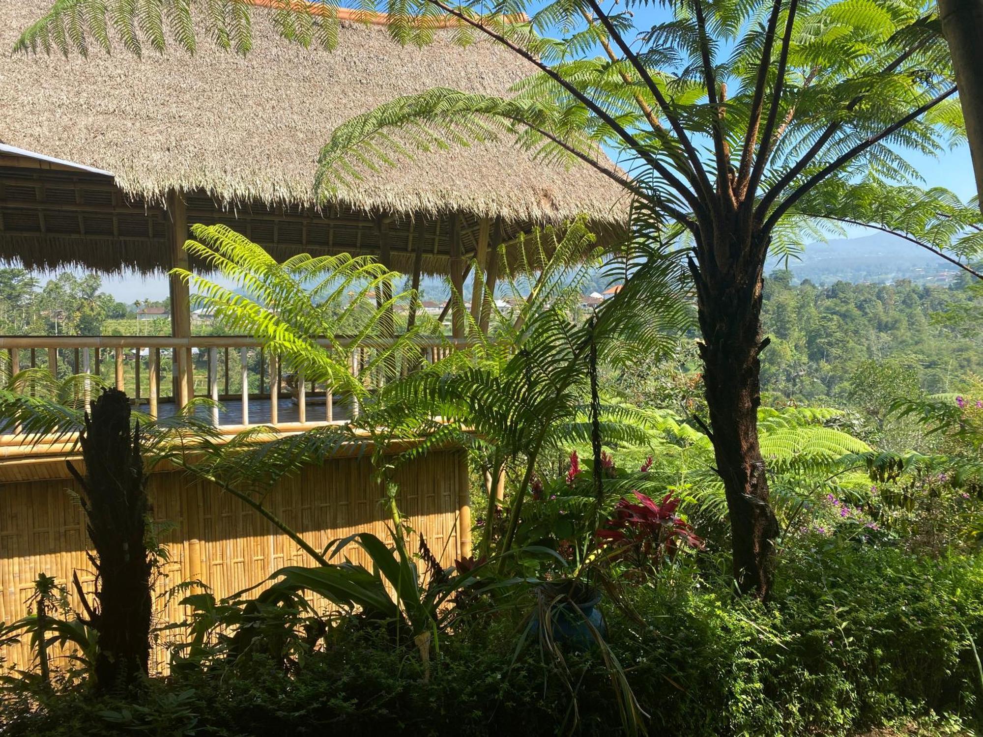 Lembah Cinta Mayungan Baturiti Extérieur photo