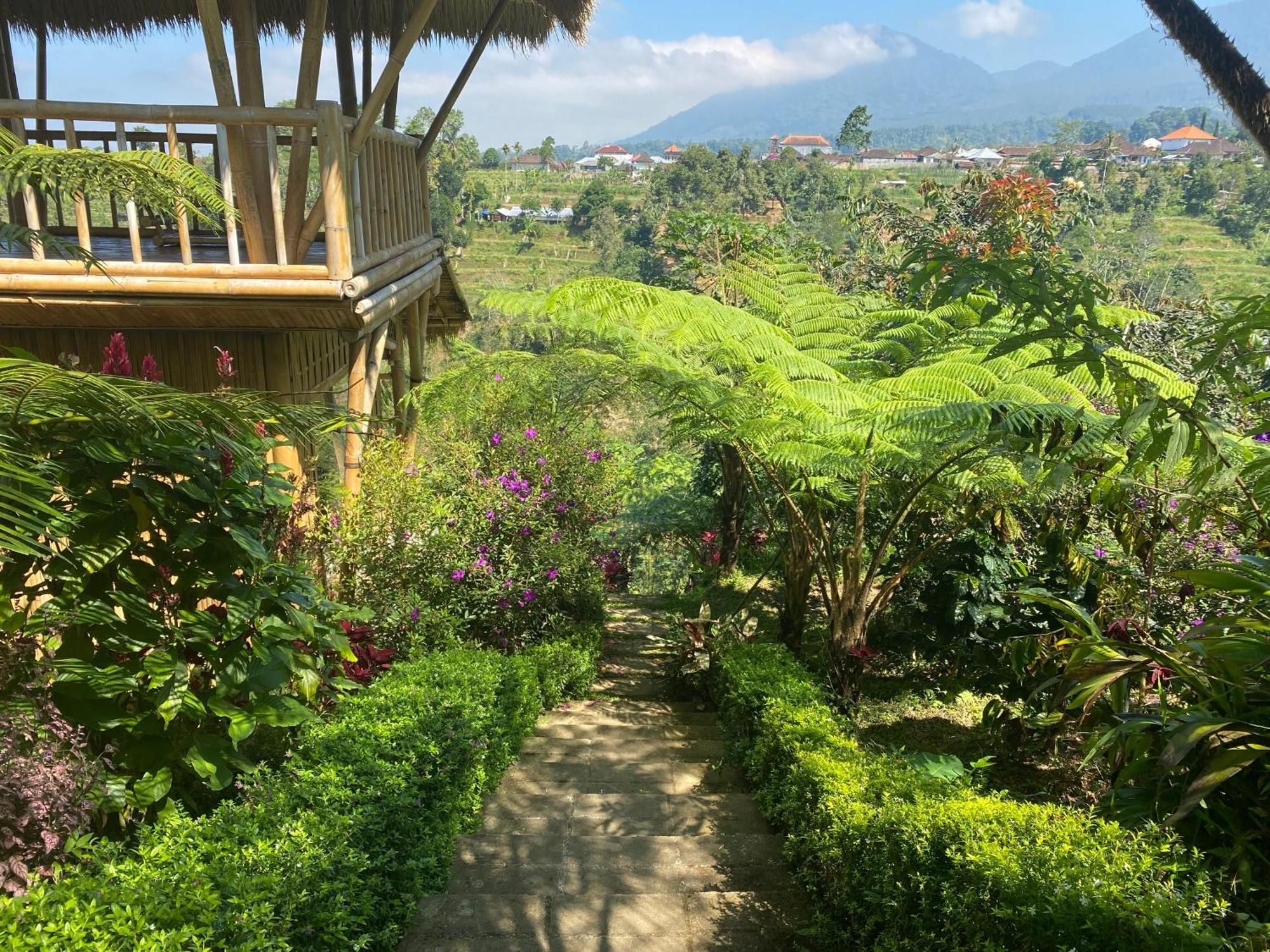 Lembah Cinta Mayungan Baturiti Extérieur photo