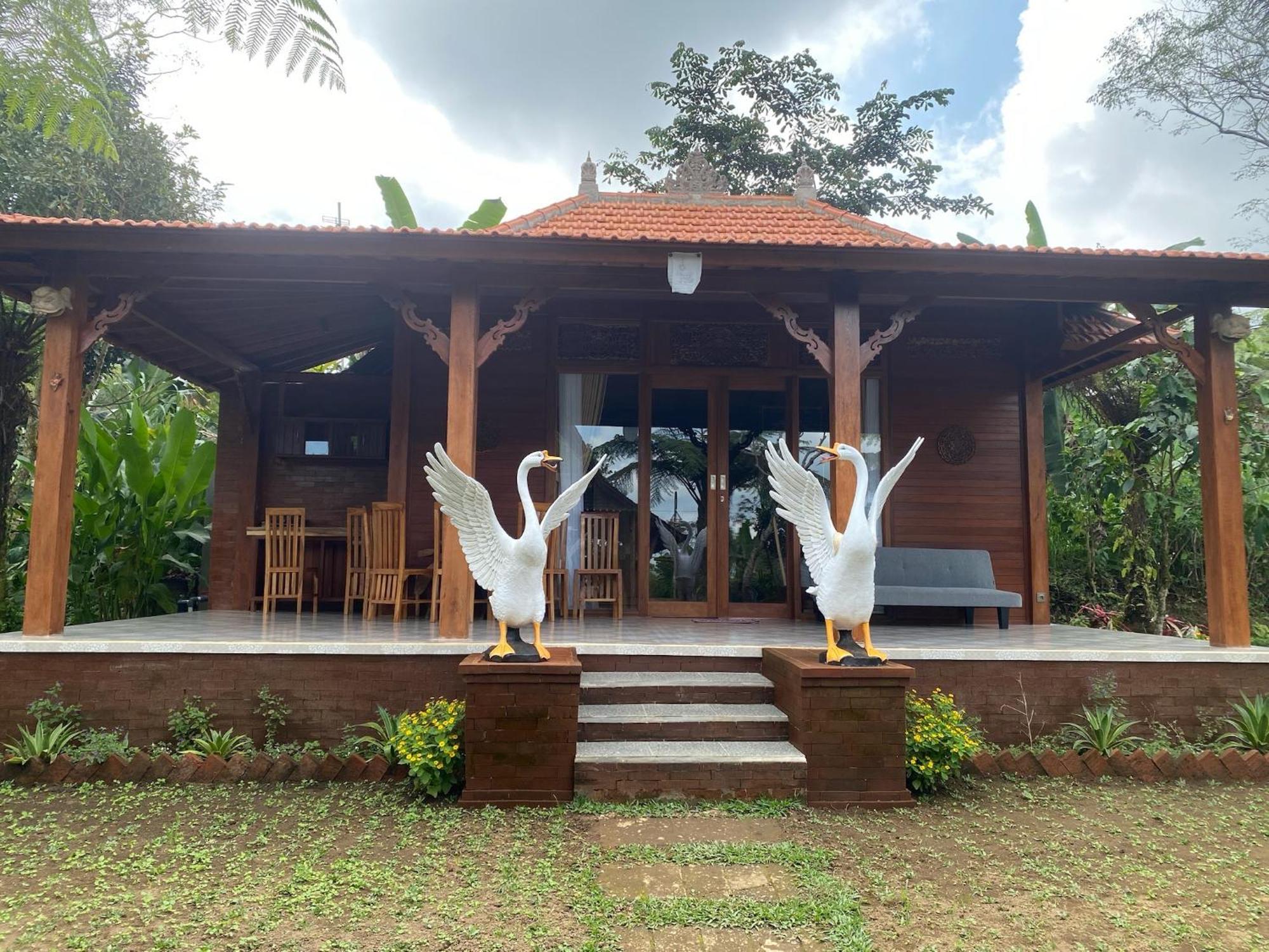 Lembah Cinta Mayungan Baturiti Extérieur photo